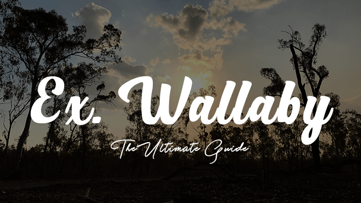 exercise wallaby guide